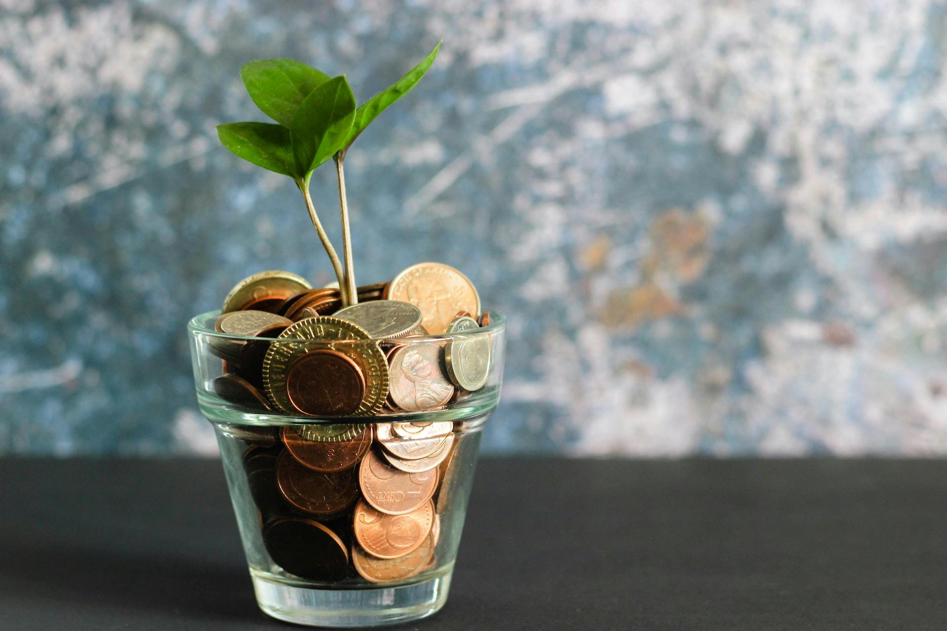 Cover image of a pot of money with a plant growing in it
